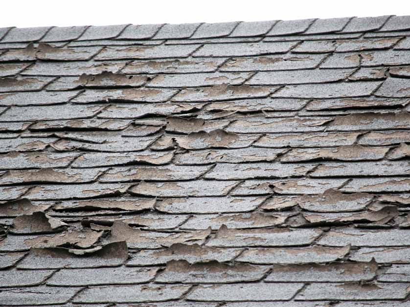 asphalt shingle roof common issues professionals check for